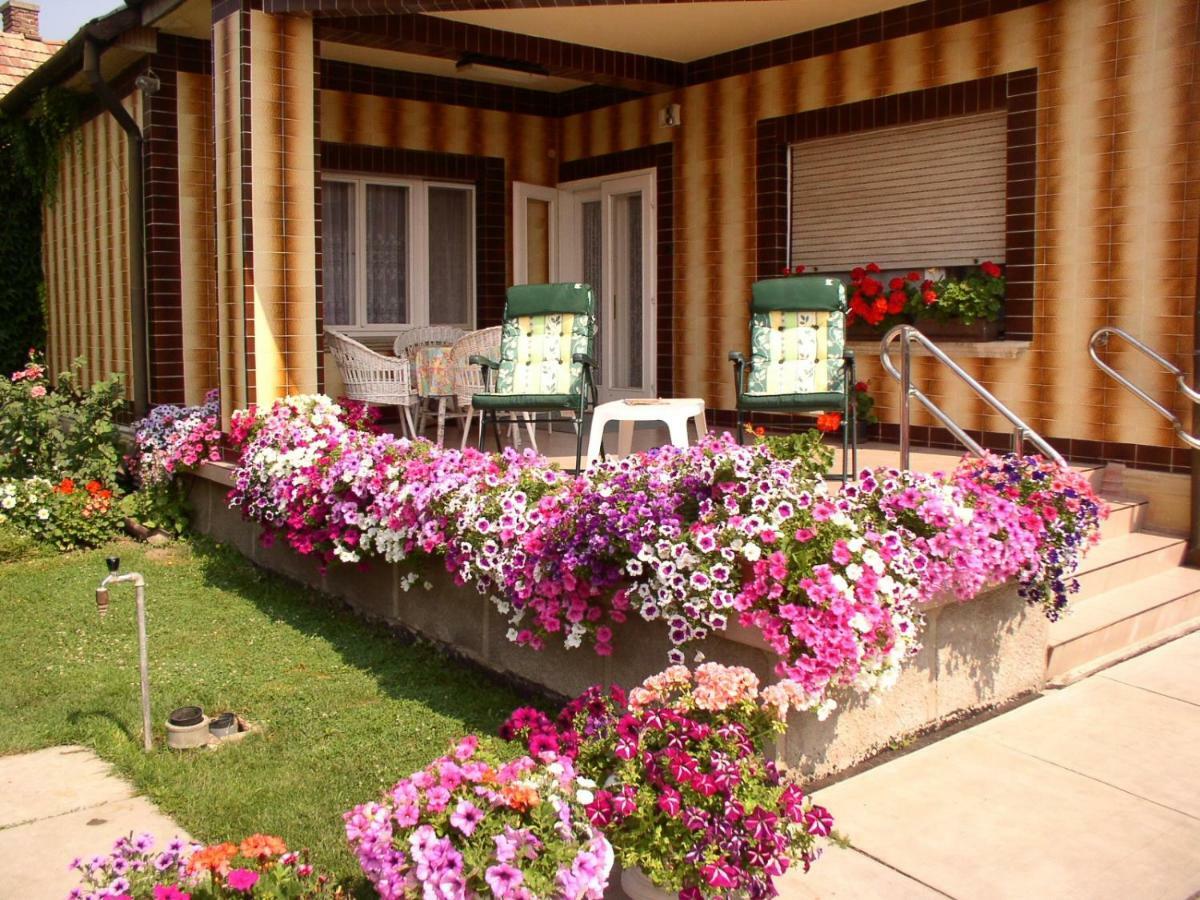 Amalia Apartman ギュラ エクステリア 写真
